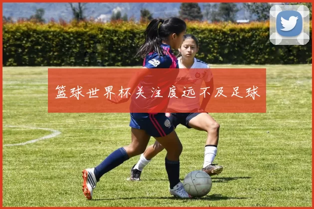 篮球世界杯关注度远不及足球