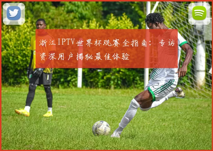 浙江IPTV世界杯观赛全指南：专访资深用户揭秘最佳体验
