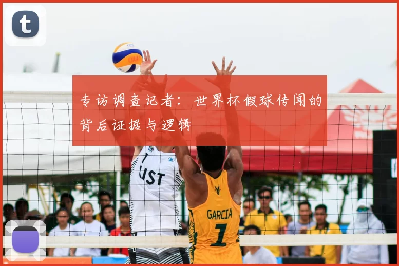 专访调查记者：世界杯假球传闻的背后证据与逻辑