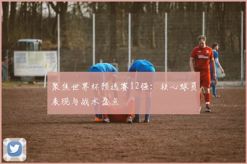 聚焦世界杯预选赛12强：核心球员表现与战术盘点