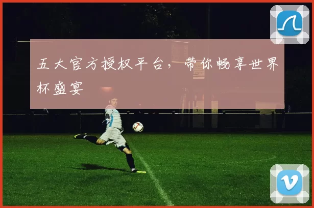 五大官方授权平台，带你畅享世界杯盛宴