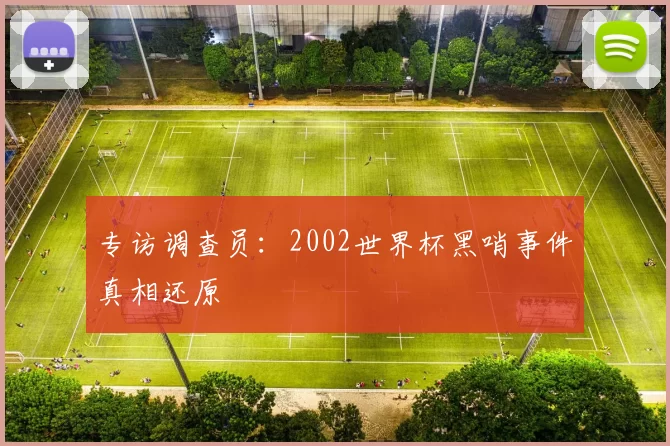 专访调查员：2002世界杯黑哨事件真相还原