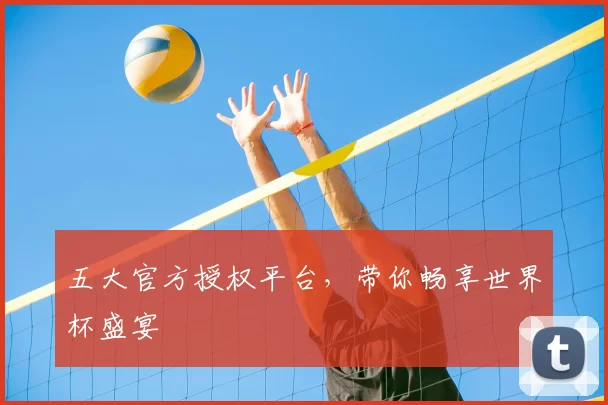 五大官方授权平台,带你畅享世界杯盛宴
