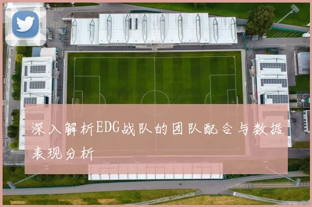 深入解析EDG战队的团队配合与数据表现分析