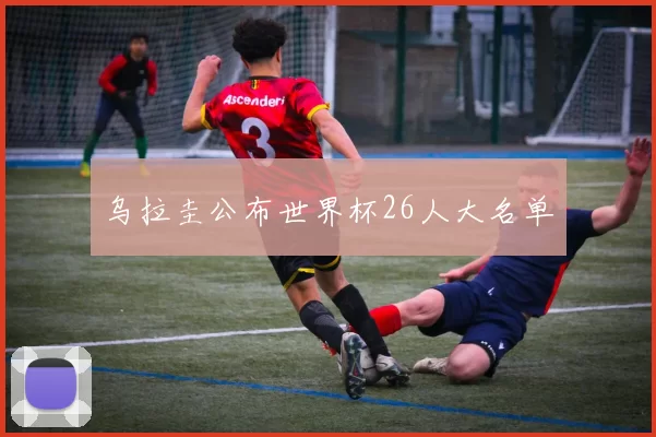 乌拉圭公布世界杯26人大名单
