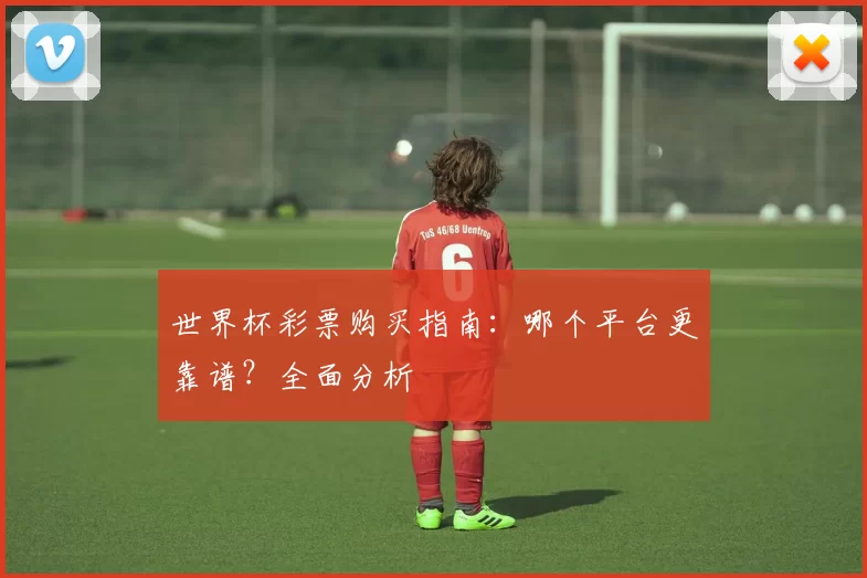 世界杯彩票购买指南：哪个平台更靠谱？全面分析