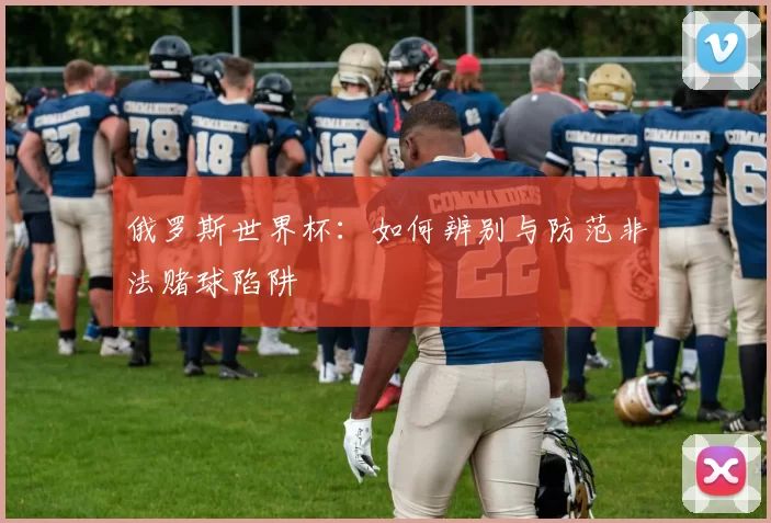 俄罗斯世界杯：如何辨别与防范非法赌球陷阱