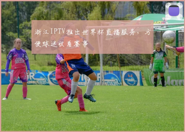 浙江IPTV推出世界杯直播服务，方便球迷收看赛事