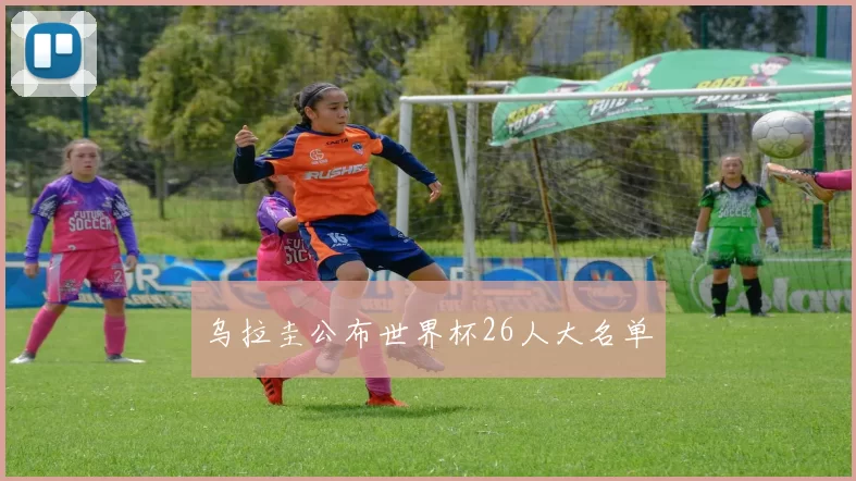 乌拉圭公布世界杯26人大名单