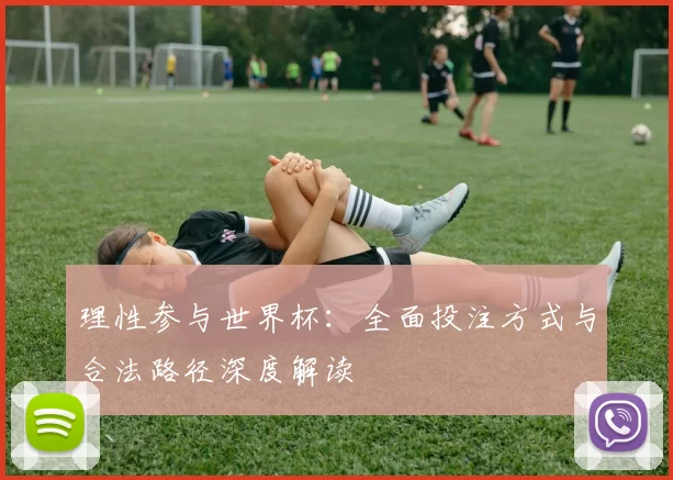 理性参与世界杯：全面投注方式与合法路径深度解读